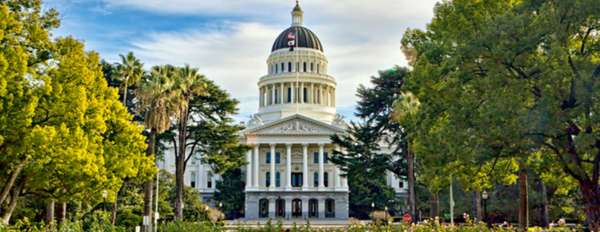 Apply for the S2P Fall 2021 certificate program
