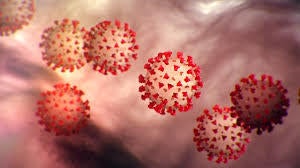 coronavirus on cells