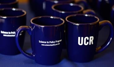 Mugs Mugs